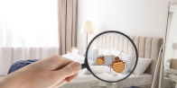 Détection punaises de lit Munchhouse 68740 – Expertise dans le Haut-Rhin