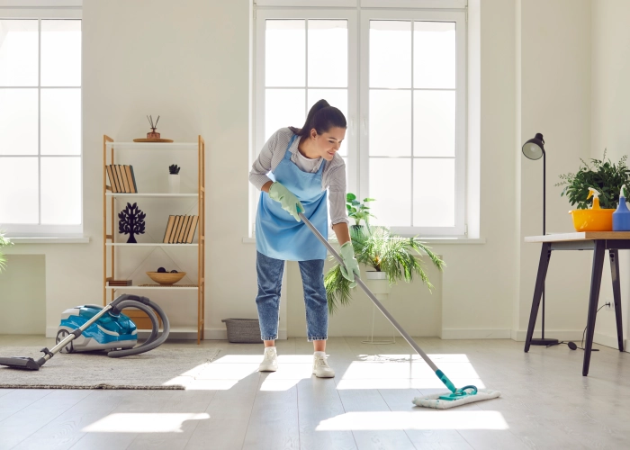 Société lavage industriel & entreprise de ménage Roches-sur-Marne : nettoyage professionnel